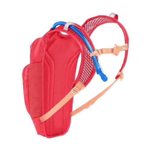 CamelBak Mini M.U.L.E. Kids Hydration Backpack for Hiking and Biking - 50oz, Pink/Flowers