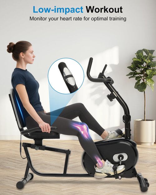 ECHANFIT Recumbent Exercise Bike for Home - 380LBS Weight Capacity, Exercise Bike with Smart Workout APP, 16-Level Magnetic Resistance, Backlit Display, Comfortable Seat