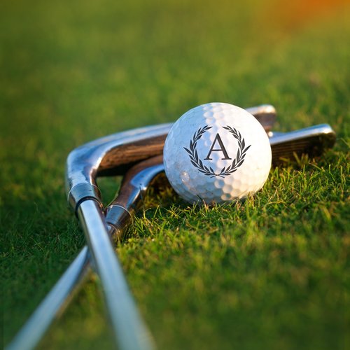 Srmgieenly Custom Golf Ball Stamp Gift Set – Personalized Marker with Refillable Ink, Color Box & Pouch – Summer Golf Essentials – Great Gift for Men, Women, Father's Day & Christmas 2025