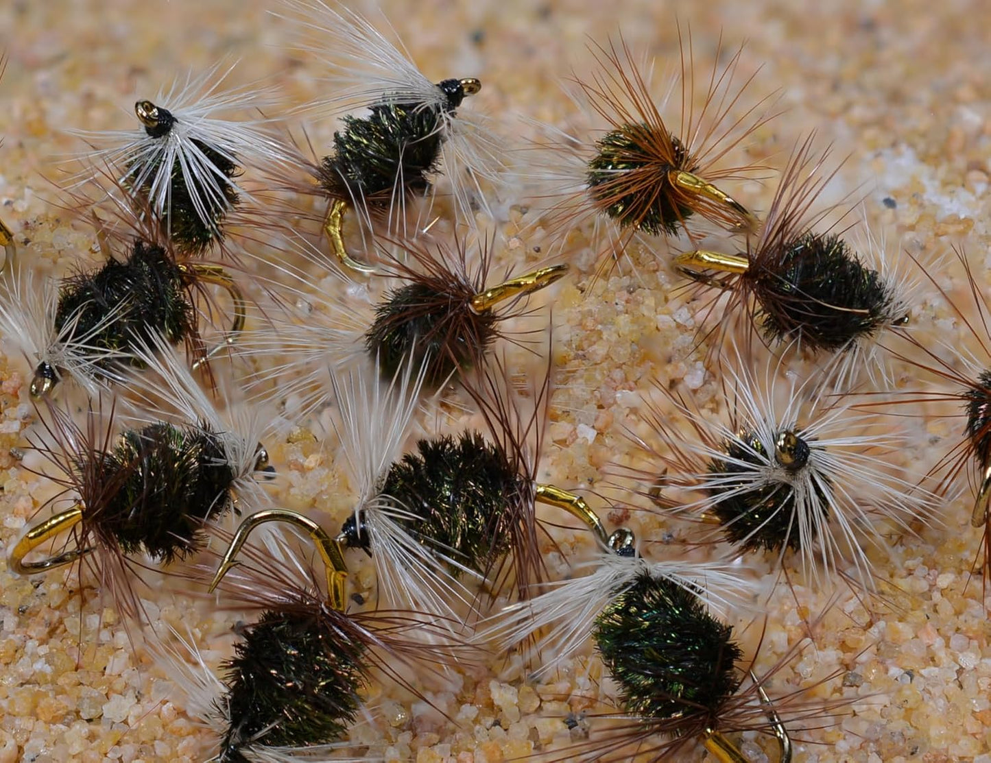 1 Doz - Renegade Wet Fly - Fishing Flies (Hook #12)