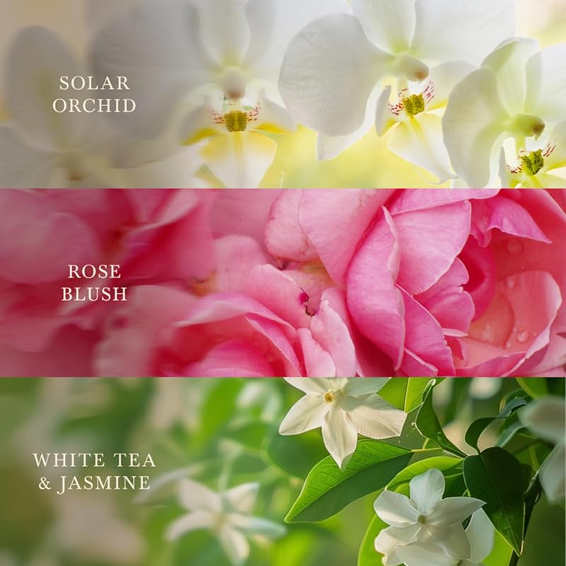 WoodWick Floral Blossoms Tri-Scented Candle 21.5oz - Pluswick Crackling Wick