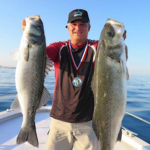 Quelay 12 Pcs Fishing Medals 2" Fishing Award Medals with Neck Ribbons Fish Competition Trophy Prizes for Deep Sea Fishermen
