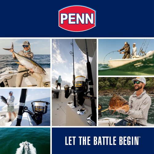 PENN Pursuit IV Inshore Spinning Fishing Reel, Size 4000, HT-100 Front Drag, Max of 15lb, 5 Sealed Stainless Steel Ball Bearing System, Built with Carbon Fiber Drag Washers,Black/Silver