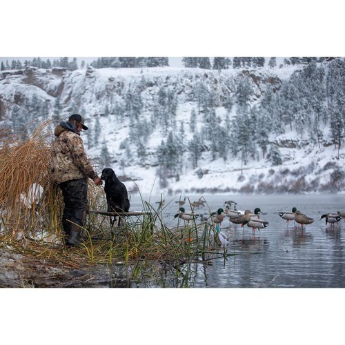 Momarsh Final Stand Dog Adjustable Training Platform | Hunting Stand | Elevated Pet System for Place, Agility & Steadiness | Waterfowl Duck Trainer System | Mesh Bottom, Mud Feet | 150 lb Capacity