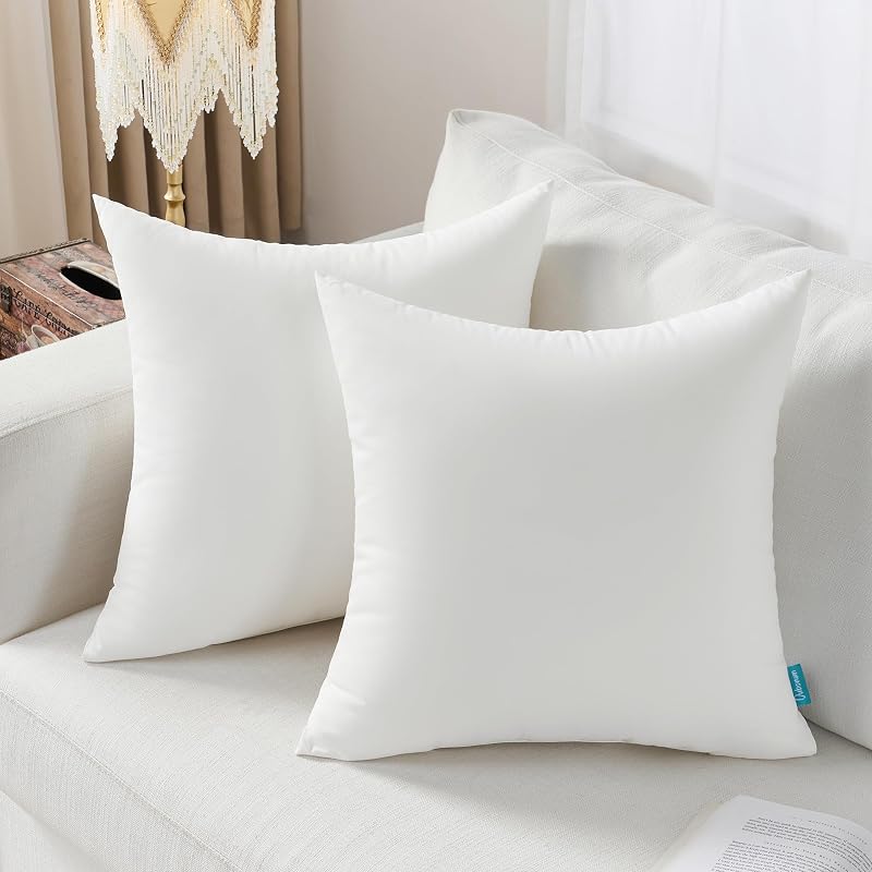Oubonun 22x22 Outdoor Throw Pillow Inserts - Set of 2 Waterproof Cushions, 22x22 Inch Variation