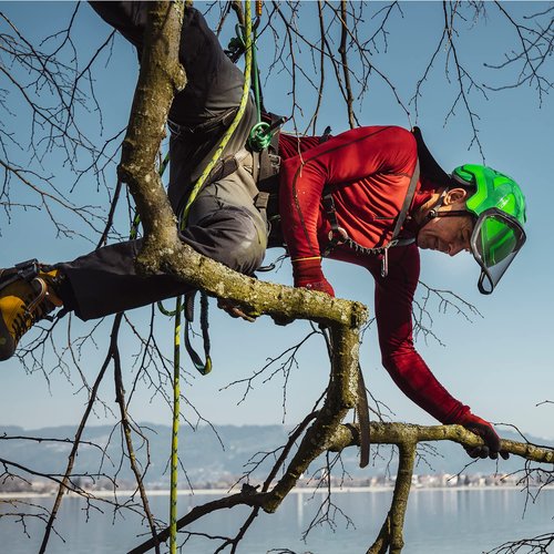 Protos Integral ARBORIST Helmet - Black and Neon Red