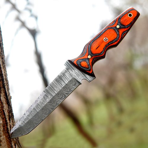 ColdLand Damascus Bushcraft Knife - 10.75 Inch Fixed Blade Knife with Camel Bone, Rose Wood & Pakka Wood Handle - Full Tang Hunting Knives with Leather Sheath for EDC, Camping & Hiking - NAK29
