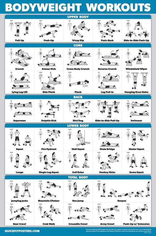 Palace Learning Dumbbell Workouts and Bodyweight Exercise Poster Set - LAMINATED 2 Chart Set - Dumbbell Exercise Routine & Body Weight Workouts (18" x 24")