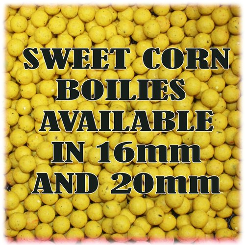 WCB Carp Baits High Protein Boilies 16 mm 1 lb Bag - Carp Fishing Bait - Ideal for Carp Fishing (Flavor: Sweet Corn)