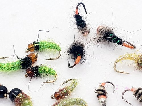 Caddis Nymph/Caddis Larva Selection, Bead Head Caddis Nymph, Caddis Fly