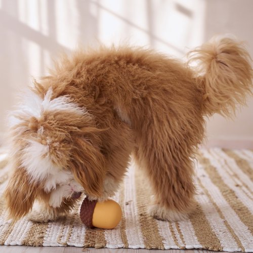 SPOT Treat Tumbler Acorn – Freezable & Fillable Treat Dispensing Dog Toy for Small & Medium Dogs, Silicone, Easy to Clean, Interactive, Holds Small Kibble & Soft Snacks, 4.63 in