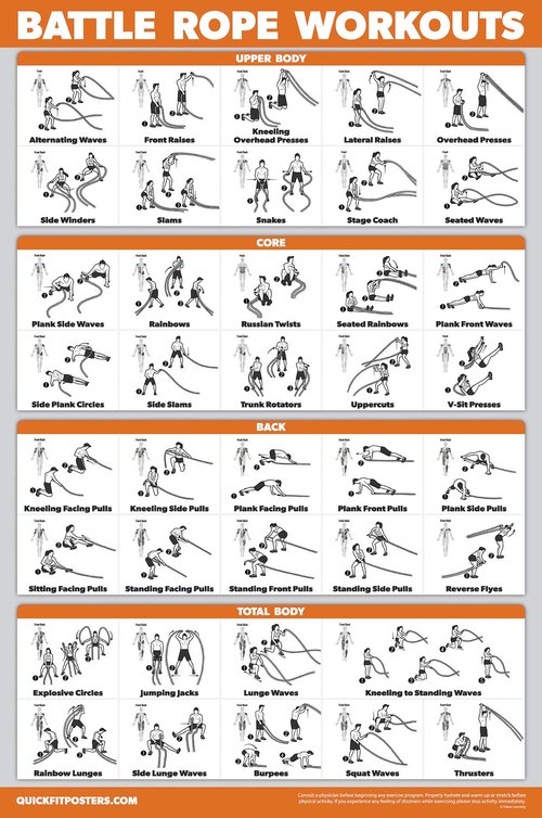 16 Pack - Exercise Poster Set: Dumbbell, Suspension, Kettlebell, Resistance Bands, Medicine Ball, Battle Rope, Stretching, Bodyweight, Barbell, Yoga, Exercise Ball, Muscular (LAMINATED, 18" x 24")