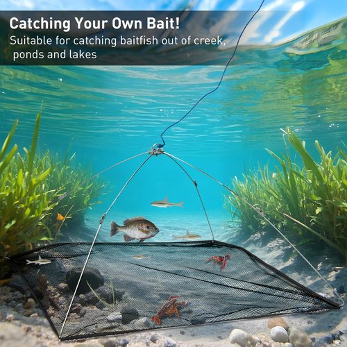 QualyQualy Umbrella Minnow Trap Net, Collapsible Fishing Bait Net with Rubber Coated Mesh & Steel Frame, Fish/Shrimp/Crayfish Trap Cast Net for Creek, Pond Fishing, Foldable Baitfish Catcher
