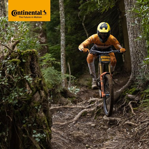 Continental MTB 29x1.75-2.5" / 47-622 -> 62-622 Inner Tubes - 42mm Presta Valve (Pack of 2 Tubes)