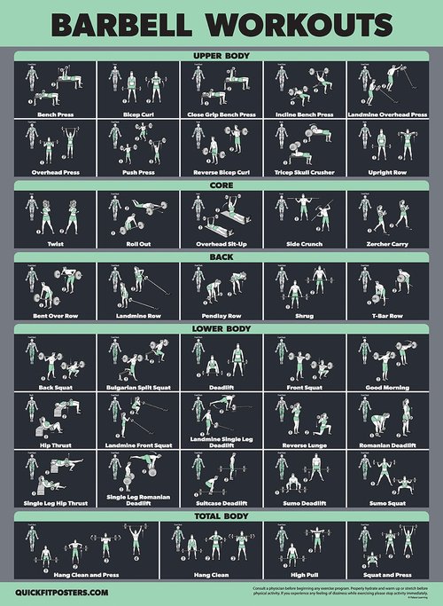 Palace Learning 2 Pack Dumbbell Workouts and Barbell Exercise Poster Set - Laminated 2 Chart Set - Dumbbell Exercise Routine & Barbell Workouts [DARK] (LAMINATED, 18” x 24”)
