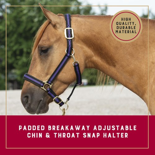 Weaver Leather Padded Breakaway Adjustable Chin & Throat Snap Halter, 1" Average Horse or Yearling Draft