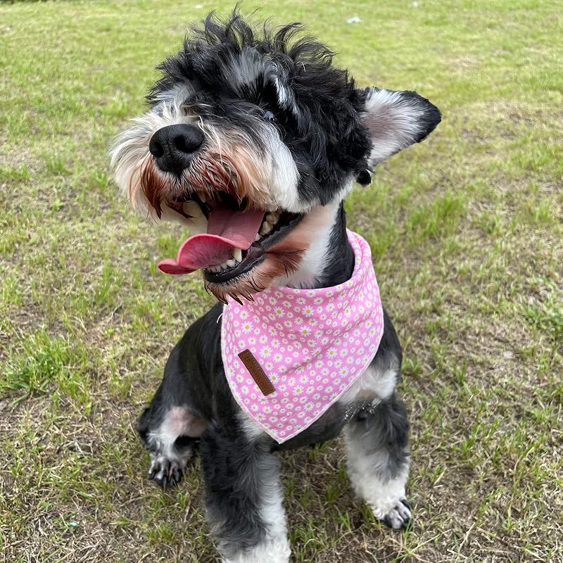Summer Dog Bandana Hawaii Daisy Pink Cotton Triangle Bandana for Small Medium Dogs or Cats - Variation Daisy+S