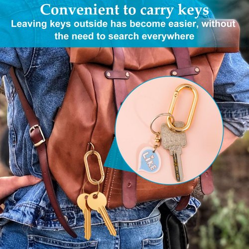 DAZEBRA 3pcs Oval Keyring Clips, Heavy Duty Spring Carabiner for Backpacks Purses Keys Bag Straps, Alloy Buckle Clasp for Hiking Camping Walking- Gold