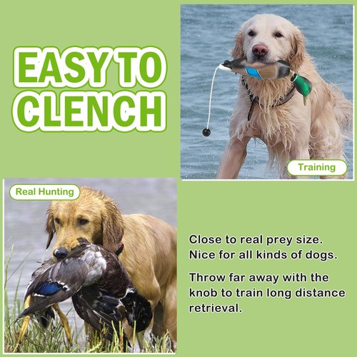 Archerest Dead Duck Dummy Bumper Toys for Waterfowl Hunting Retriever Dog Training, Floating Mallard Dummy Trainer Outdoor Soft Durable Realistic Fowl