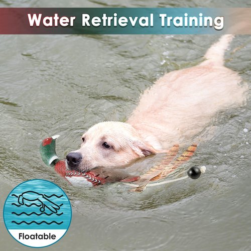 Saillong 2 Pack Pheasant Dog Toy, Bird Duck Dog Training Supplies, Hunting Dog Training Dummy Launcher Dog Training, Retriever Training Floating Dead Fowl Trainer Pheasant for Dog Training