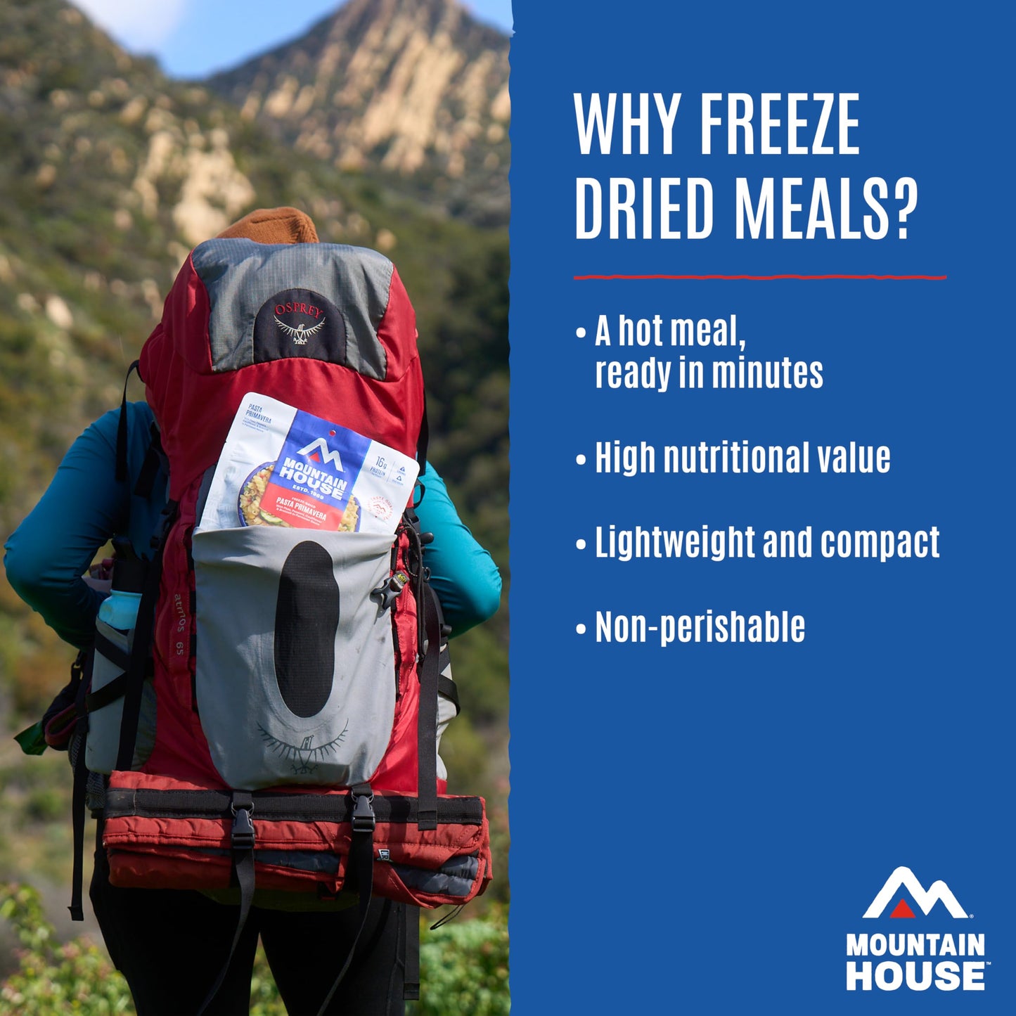 Mountain House Essential Meal Assortment Bucket | Freeze Dried Backpacking & Camping Food | 22 Servings | Gluten-Free