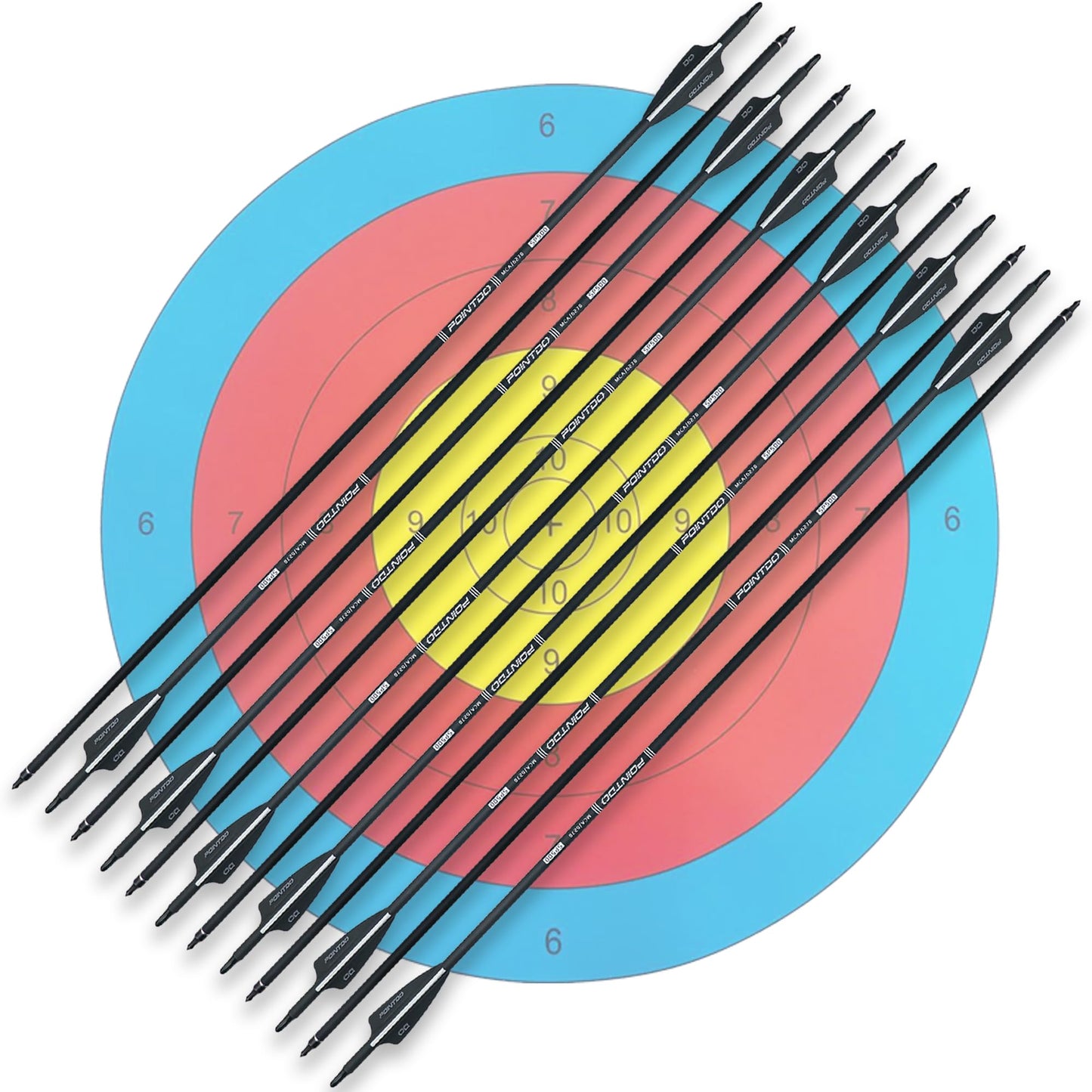 Pointdo 28"/30"/32inch Carbon Arrow Practice Hunting Arrows with Removable Tips for Compound & Recurve Bow(Pack of 12) (2Black&White, 28inch)
