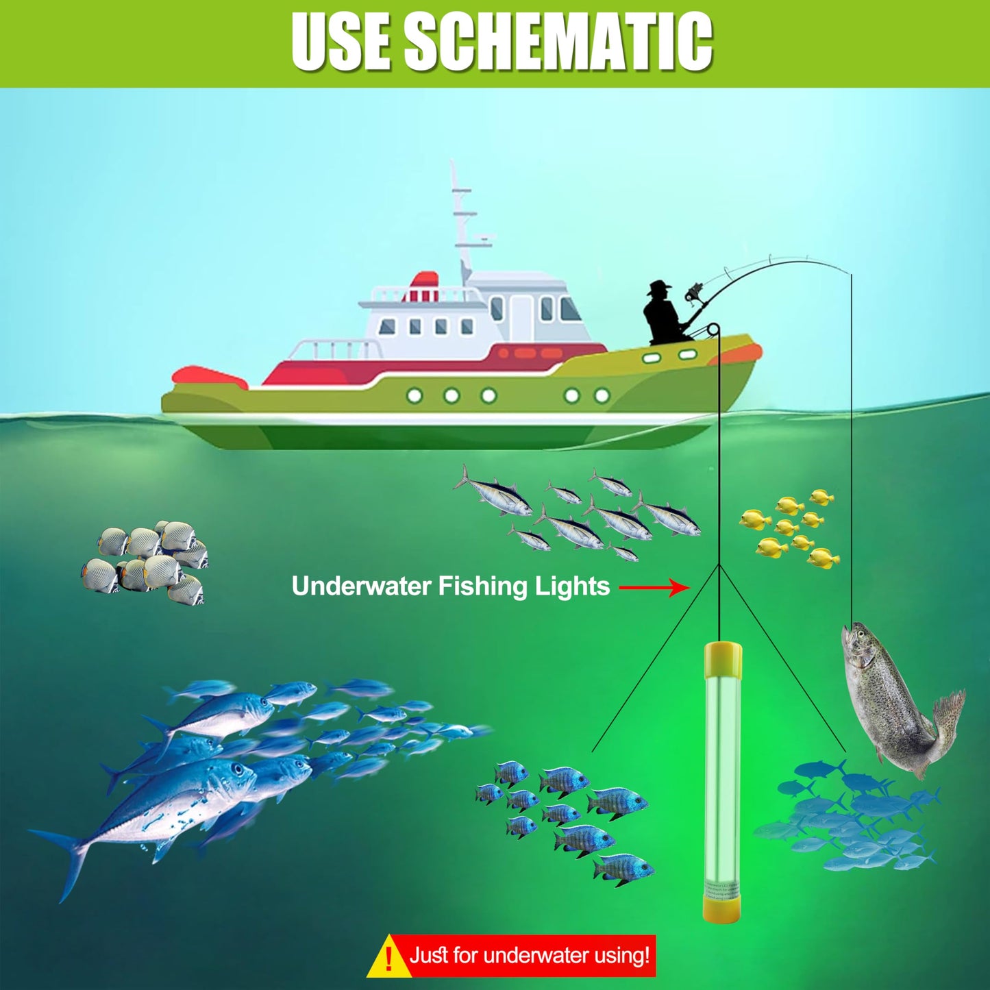 JOGFFDE Underwater Fishing Light 30000 Lumens 50W 12V 16.5ft Wire Green Night Fishing Finder Attractor LED Submersible Light Deep Drop Fish Bait Finder for Docks, Boats,Kayaks