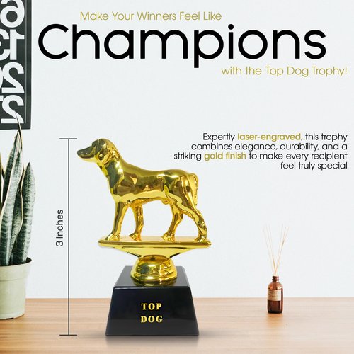 Vaulted Skulls & Co Top Dog Trophy | Dog Trophy Award | Gold Dog Competition Award | Sports Team Trophies | Funny Office Trophy | G.O.A.T Dog Trophy | Gold/Black | Small Trophy | 3”