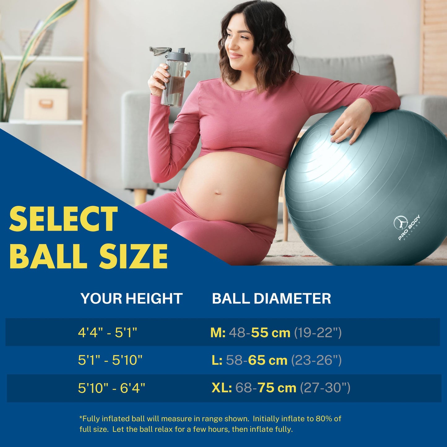 ProBody Pilates Pregnancy Ball - Yoga Ball for Pregnancy with Book, Prenatal, Labor & Postnatal Maternity Exercise (Lilac, 65 cm)