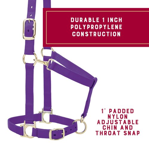 Weaver Leather Basic Adjustable Nylon Halter, Purple, 1" Average Horse
