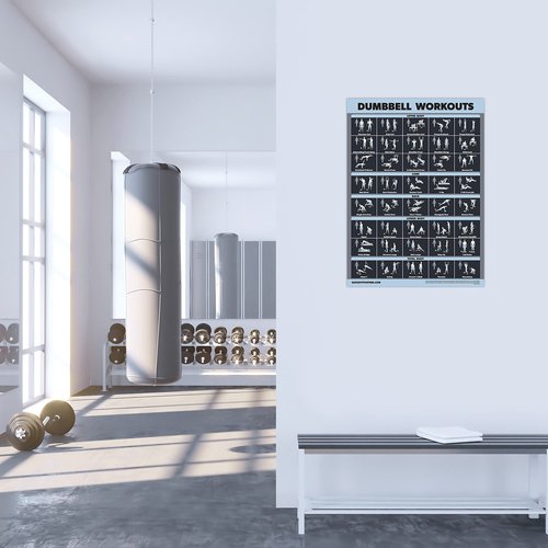 Palace Learning Dumbbell Workout Exercise Poster [Dark] (LAMINATED, 18" x 24")