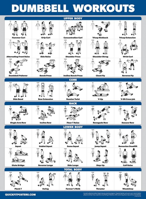 4 Pack - Cable Machine Workout Posters Volume 1 & 2 + Dumbbell Exercises + Barbell Exercises (LAMINATED, 18" x 24")