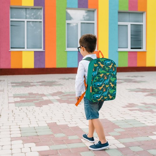 Trailmaker 15 Inch Kids Backpacks for Boys & Girls | Preschool, Kindergarten, Elementary School Backpacks with Adjustable, Padded Straps (Prehistoric Pals)