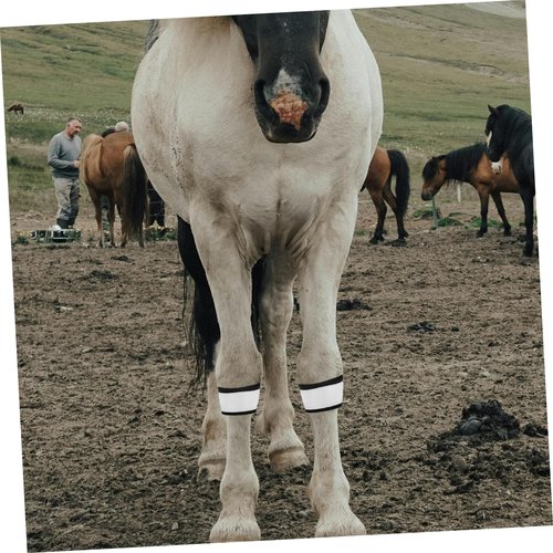 PERSELOSO 4pcs Led Glowing Horse Leg Bands High Visibility Reflective Straps for Night Enhanced Illumination for Riding and Horse Gear
