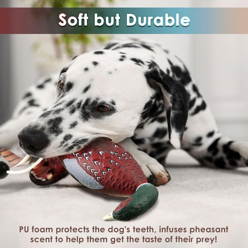 Saillong 2 Pack Pheasant Dog Toy, Bird Duck Dog Training Supplies, Hunting Dog Training Dummy Launcher Dog Training, Retriever Training Floating Dead Fowl Trainer Pheasant for Dog Training