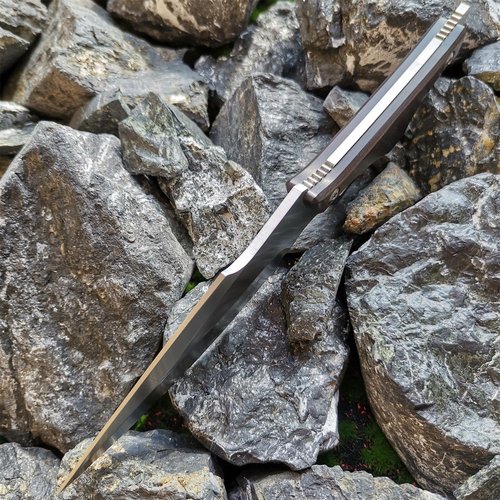 DOOM BLADE Full Tang 8.27" Tactical Fixed Blade Knife with Sheath - Made of Stainless Steel - Bushcraft and Camping Knife Survival - Perfect EDC Hunting Knife (Silvery)
