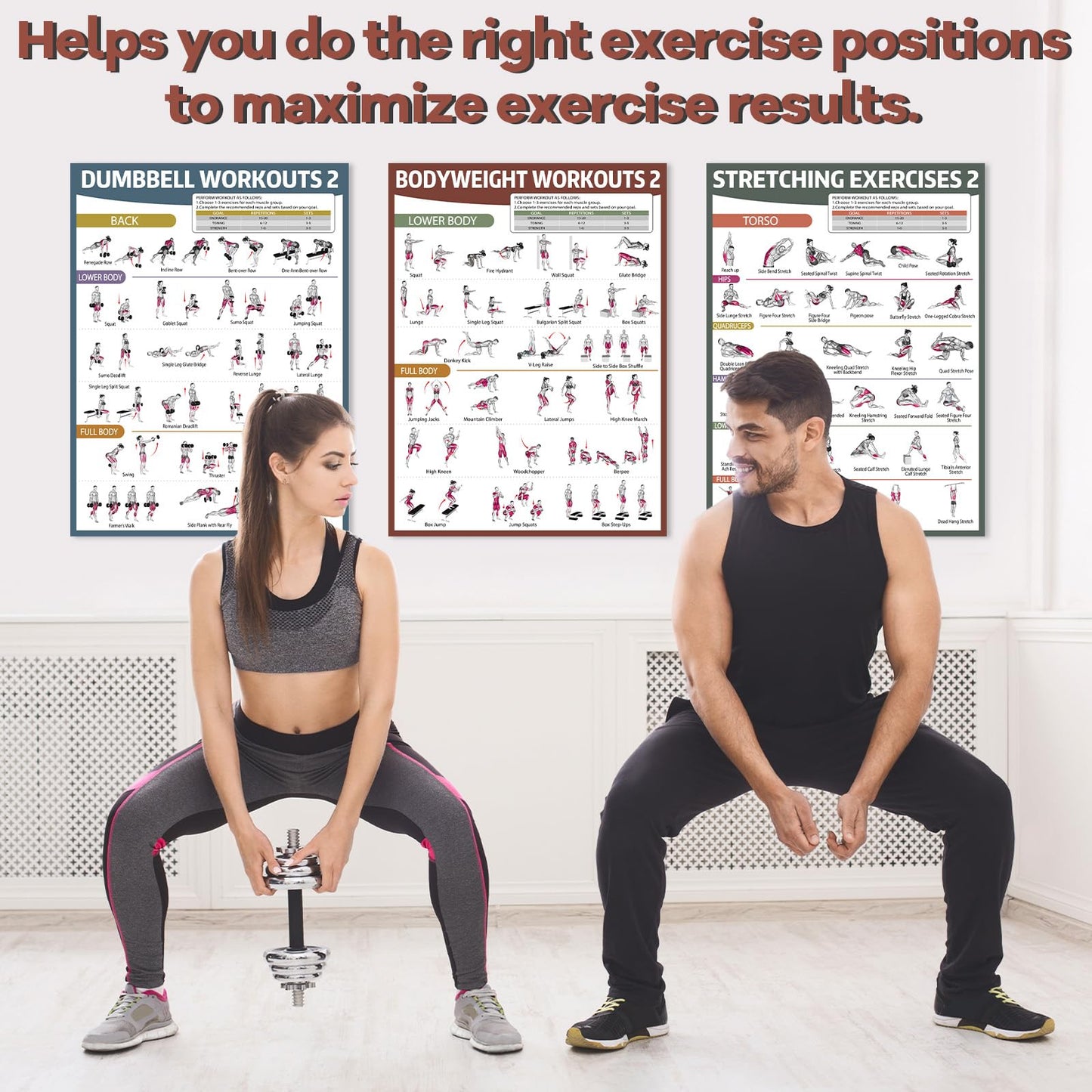 gisgfim 6PCS Workout Posters Dumbbell Bodyweight Stretching Workout Exercise Chart for Home Gym Full Body Routine Poster Set Muscle Engagement Exercise Illustrations Garage Home Gym Wall Decorations