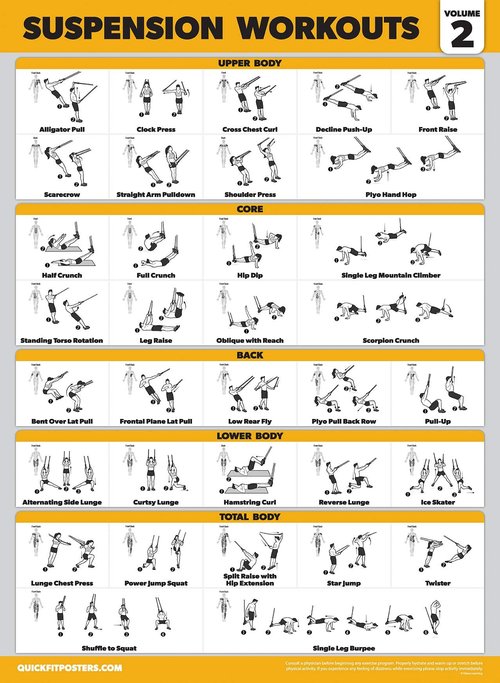 Palace Learning 4 Pack - Suspension Workout Posters Volume 1, 2 & 3 + Bodyweight Exercise Chart - Set of 4 Posters (LAMINATED, 18" x 24")