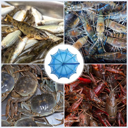 Folded Fish Trap, 10 Holes 10 Sides Crayfish Trap Fish Crab Traps with Nylon Rope for Catching Small Bait Eels Crab Lobster Minnows Shrimp