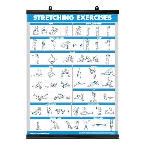 Palace Learning QUICKFIT Stretching Workout Exercise Poster - Stretch Routine (Laminated with Plastic Frame, 18" x 24")