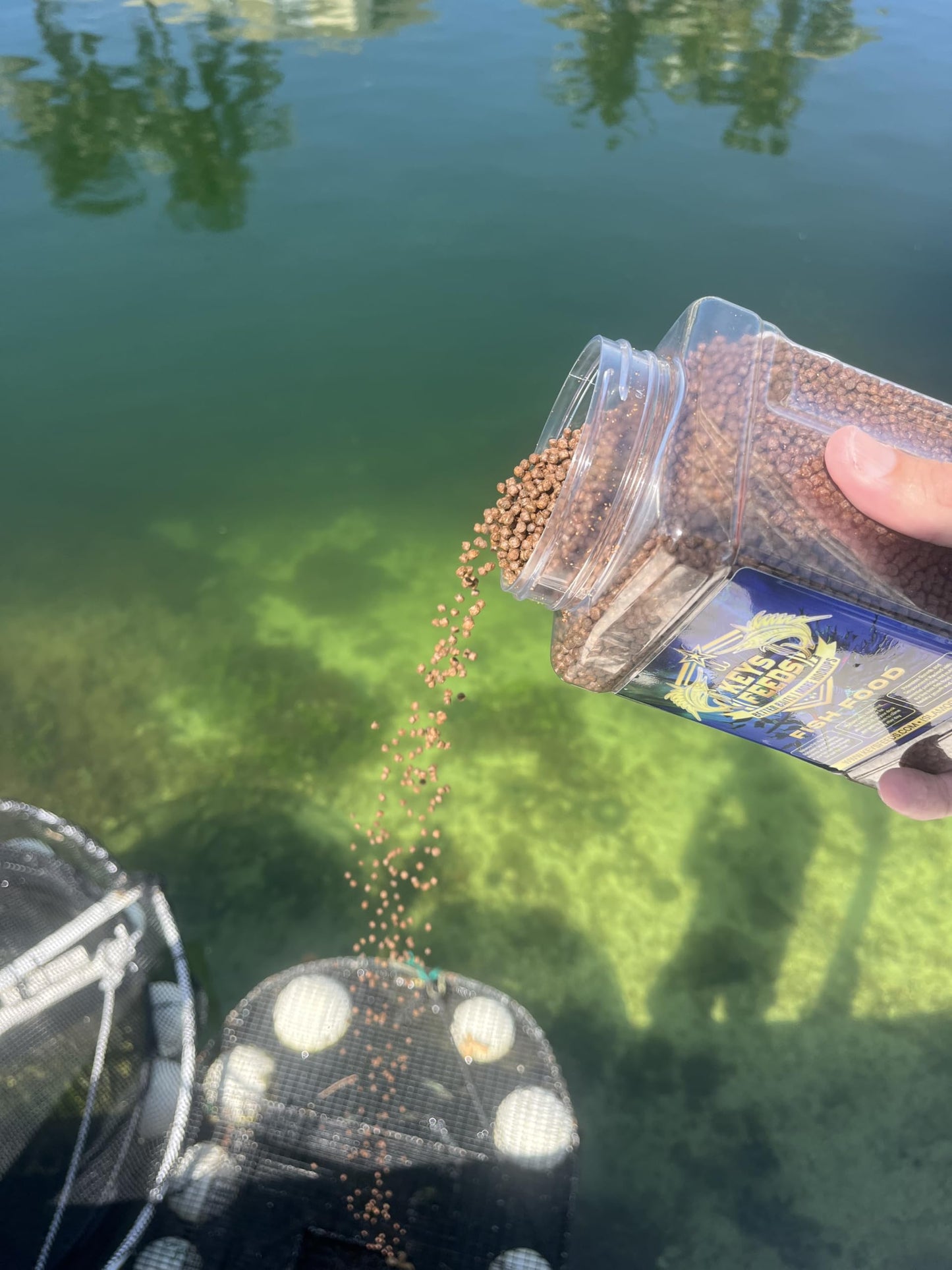 Keys Feeds Live Bait Fish Food (Small Grip Jar)