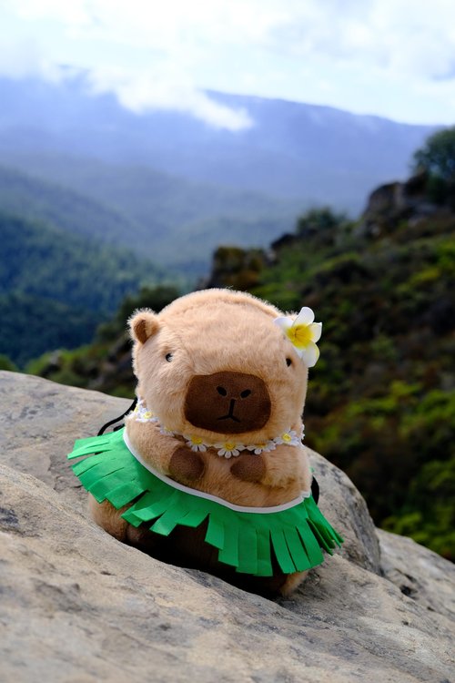 ChalkMate Capybara Hawaii Chalk Bag – Cute Rock Climbing Accessory for Indoor & Outdoor Use