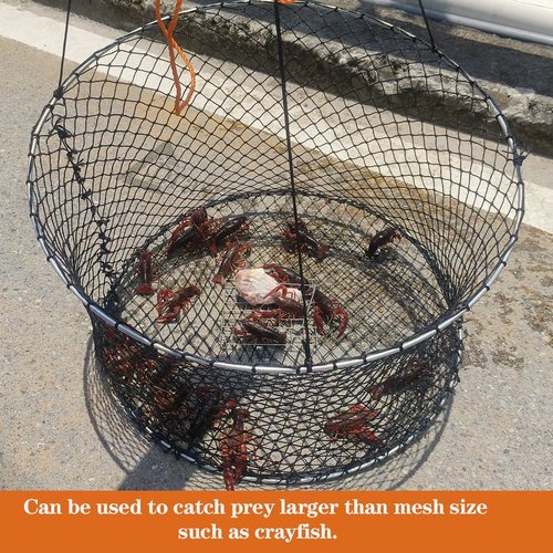 Drasry Crab Ring Trap Two Ring Crab Kit with Harness and Bait Clip Fishing Crabbing Net for Board Kayak Dock and Pier Net 24 * 24 * 13.78 in 1PCS