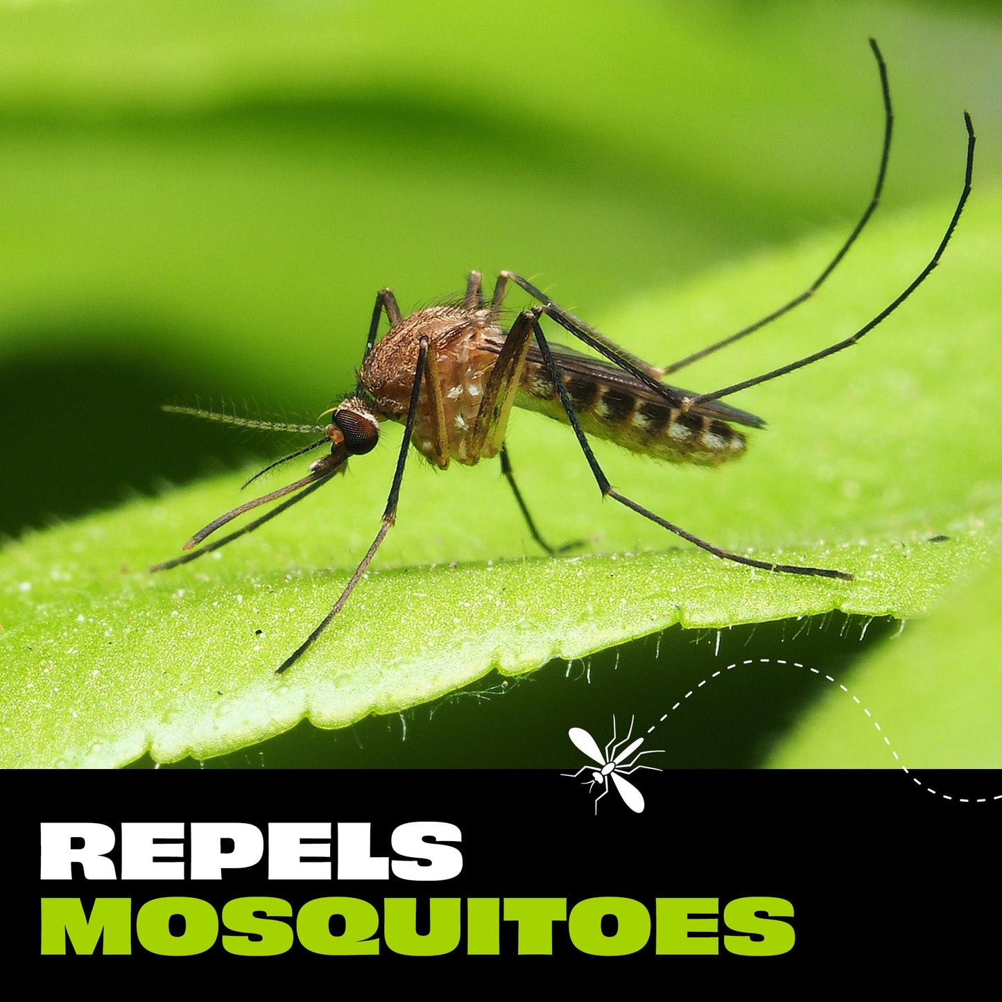STEM Repels Mosquitoes: Mosquito Repellent Spray With Botanical Extracts; 4 fl oz (Pack Of 1)