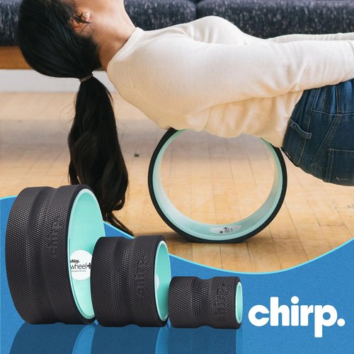 Chirp Wheel Foam Roller - Targeted Back Foam Roller for Back Pain Relief, Deep Tissue Muscle Massage, Trigger Point Round High Density Foam Roller for Physical Therapy & Exercise, 3-Pack Mint