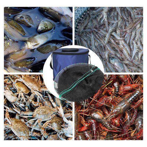Minnow Trap with Foldable Fishing Net (11x24 Inch) & Collapsible Fish Bucket - Crab, Crawfish, Shrimp Trap for Freshwater Saltwater Fishing