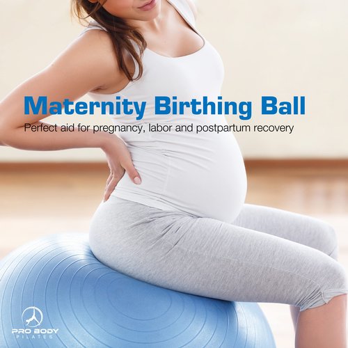 ProBody Pilates Yoga Ball Chair, Exercise Ball Chair with Base or Stand for Home Office Desk Sitting or Workout, 65cm Antiburst Balance Ball & Stability Ball Seat for Back, abs (Blue)