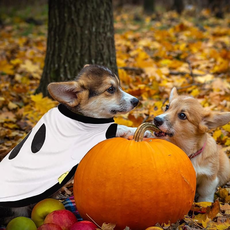 Variation of THIS listing: Halloween Dog Ghost Hoodie - Small/Medium Pets Costume Tee (Large)