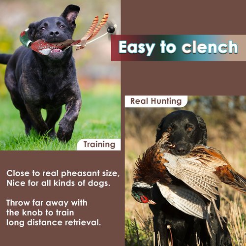 Saillong 2 Pack Pheasant Dog Toy, Bird Duck Dog Training Supplies, Hunting Dog Training Dummy Launcher Dog Training, Retriever Training Floating Dead Fowl Trainer Pheasant for Dog Training