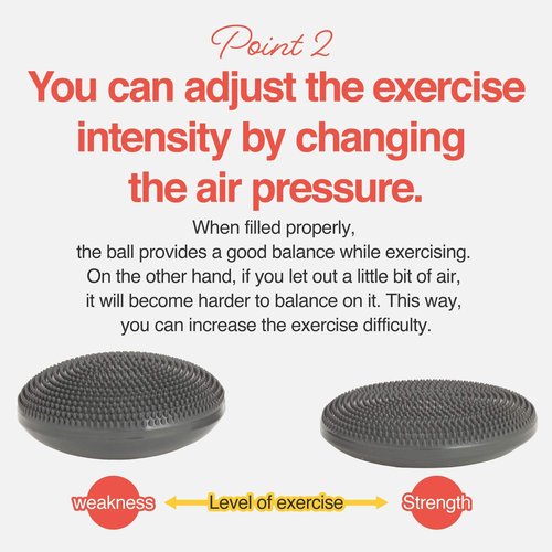 Primasole Balance Disc with Air Pump Wobble Cushion for Stability Workout 2 PCS Cobalt Blue Color PSS91NH052A
